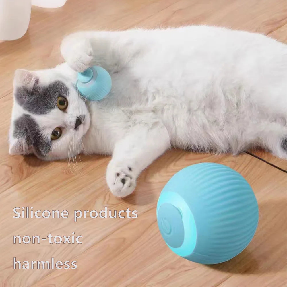 Balle Magique pour Chats