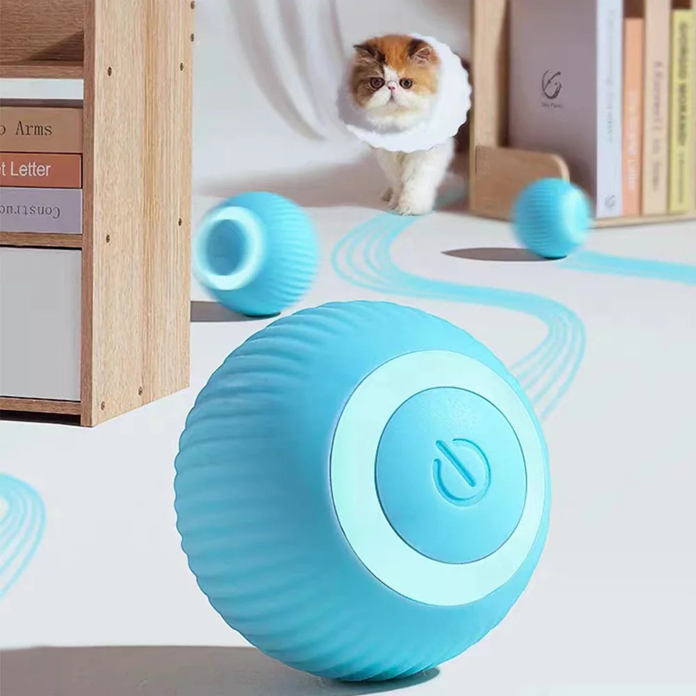 Balle Magique pour Chats